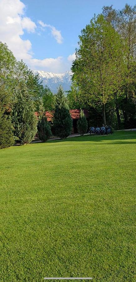 Garden Retreat (Adults Only) Bran (Brasov) Exterior foto